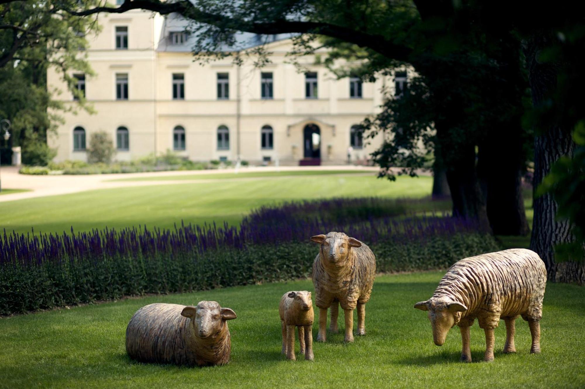 Отель Chateau Мцели Экстерьер фото