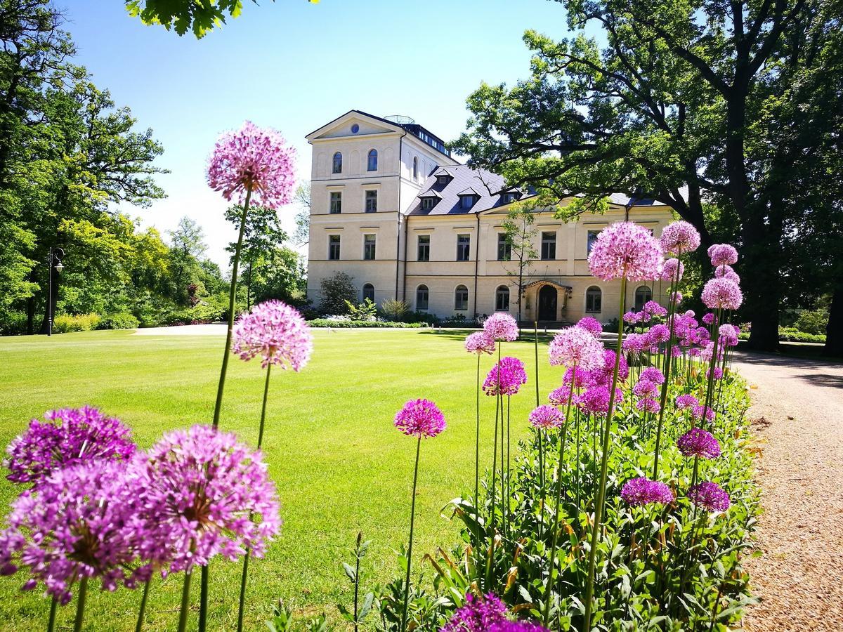 Отель Chateau Мцели Экстерьер фото